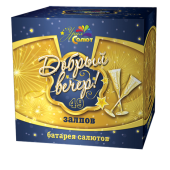TKB238 Салют Фейерверк "Добрый вечер" (1,2х49) 1/4/1